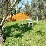 Escape To Nature Calm Intirana Tirana